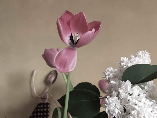 18268080_10213081803864034_2369675231152707587_n