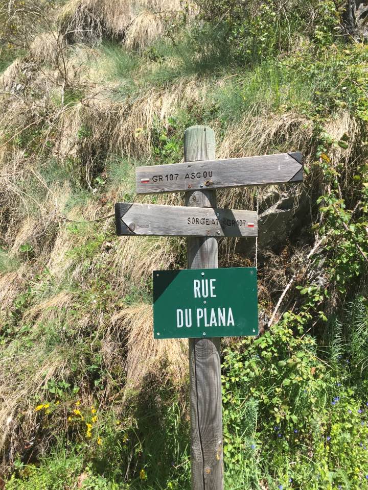 18402853_10213167196998809_7688413762582869199_n