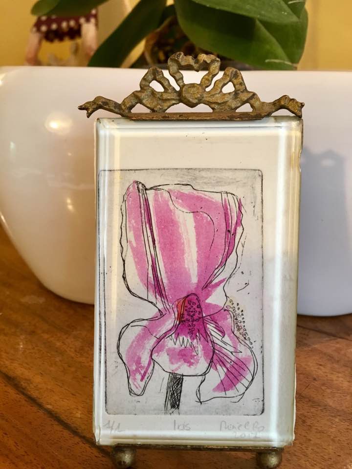 18485911_10213188031159650_6446454663601785612_n