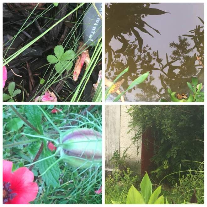 18740122_10213374660505267_6575132016133229445_n