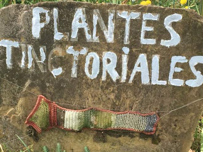 18881783_10213383756652665_7392871114737952225_n