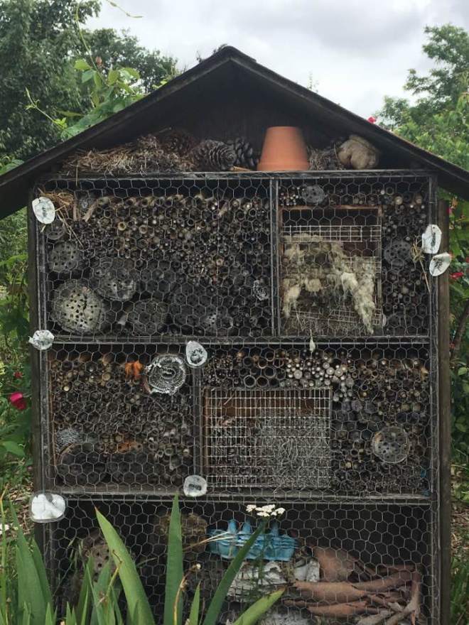 18881968_10213383755732642_4449484435578645146_n