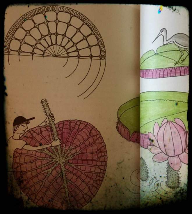 19274845_10213555209618882_668437006038312190_n