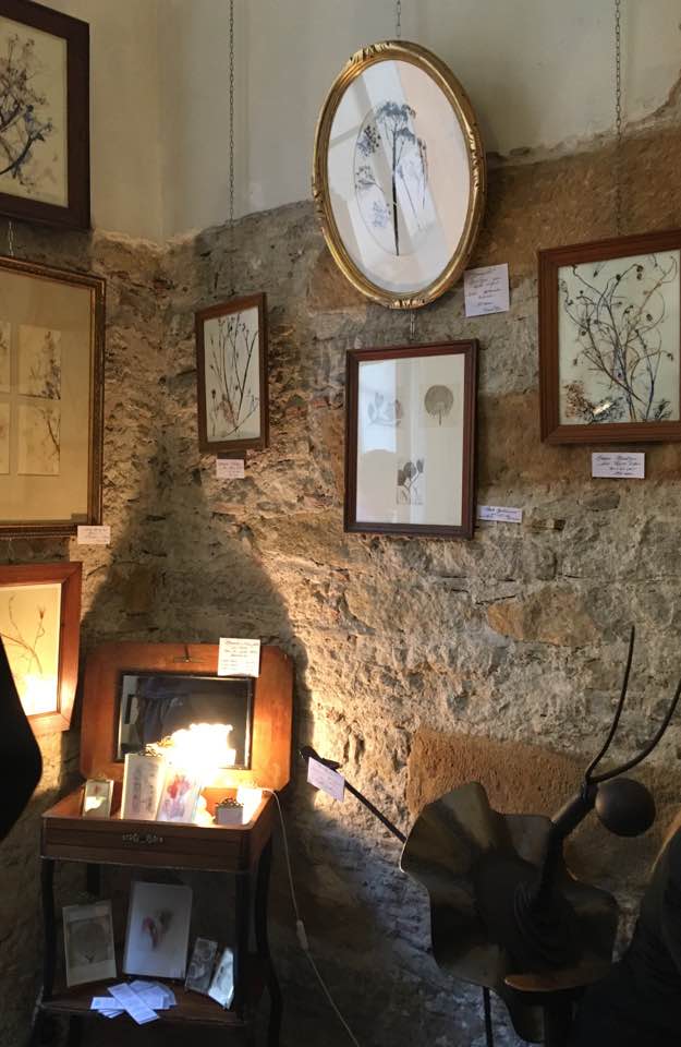 24899994_10215175561286661_8360647481439517788_n