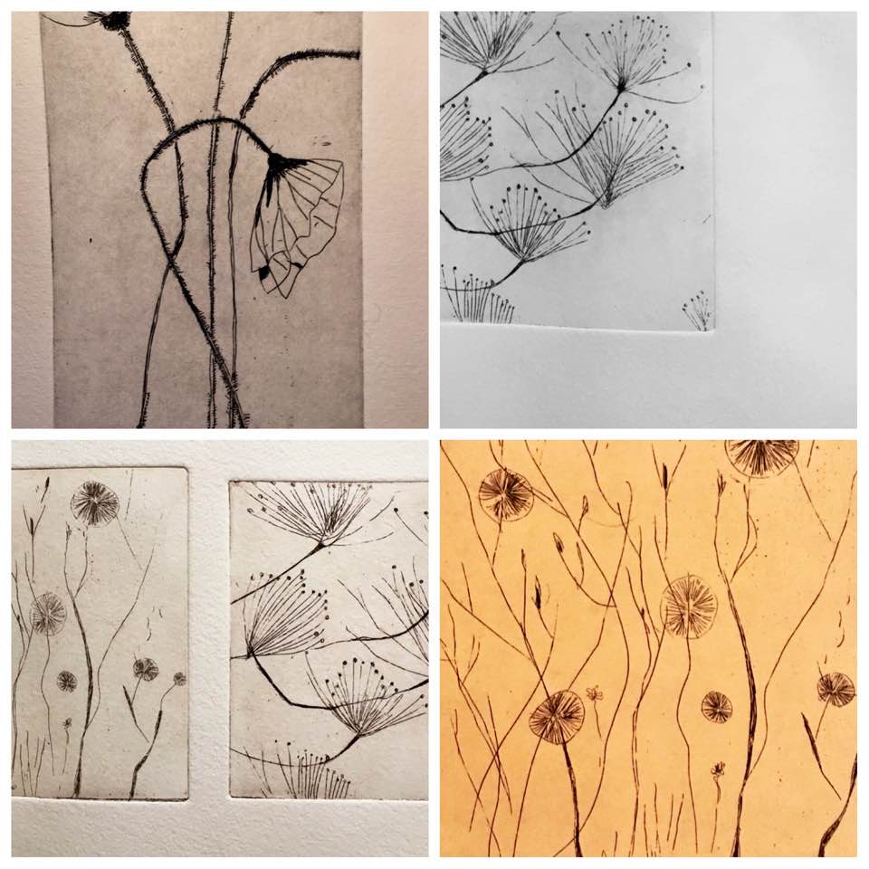 27544790_10215718073489127_1362311406823297132_n