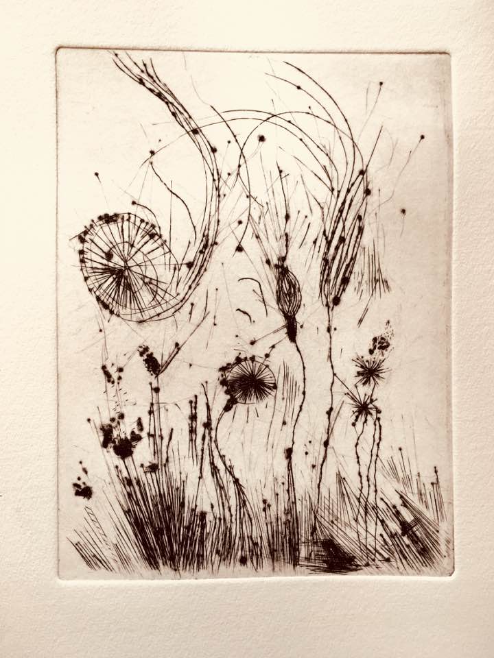 32145742_10216491959555795_8580965295831646208_n