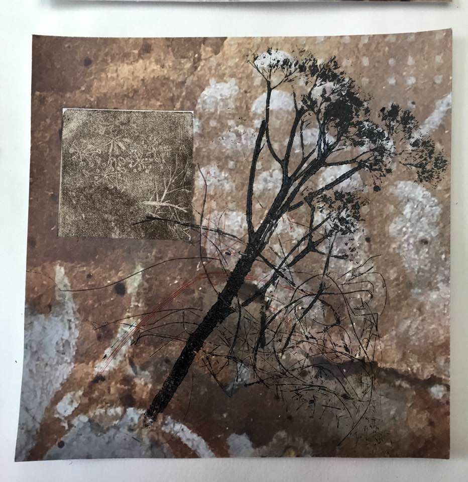 32169269_10216494645902952_2480145954750070784_n