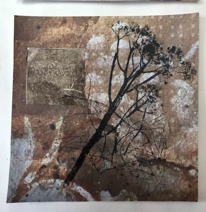 32169269_10216494645902952_2480145954750070784_n