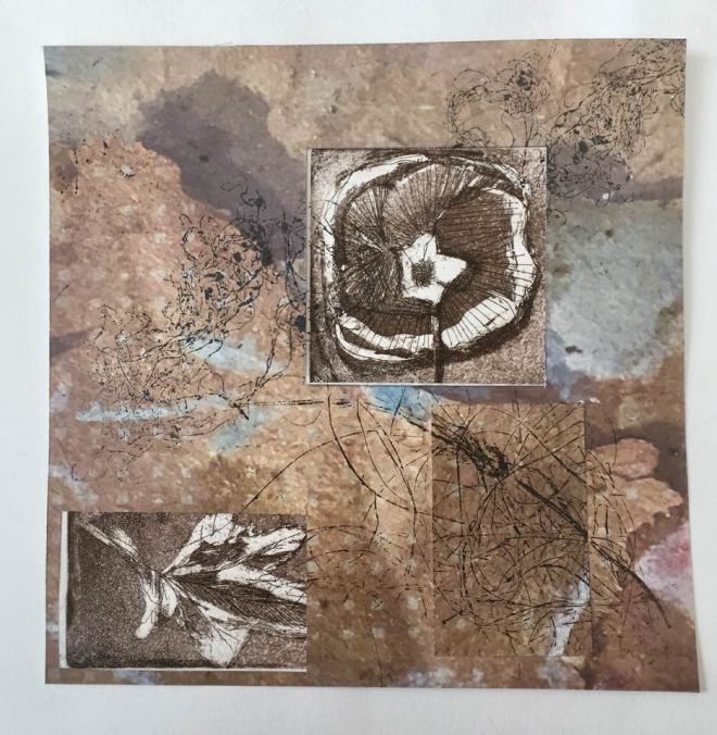 32191332_10216494645382939_3163300583813677056_n