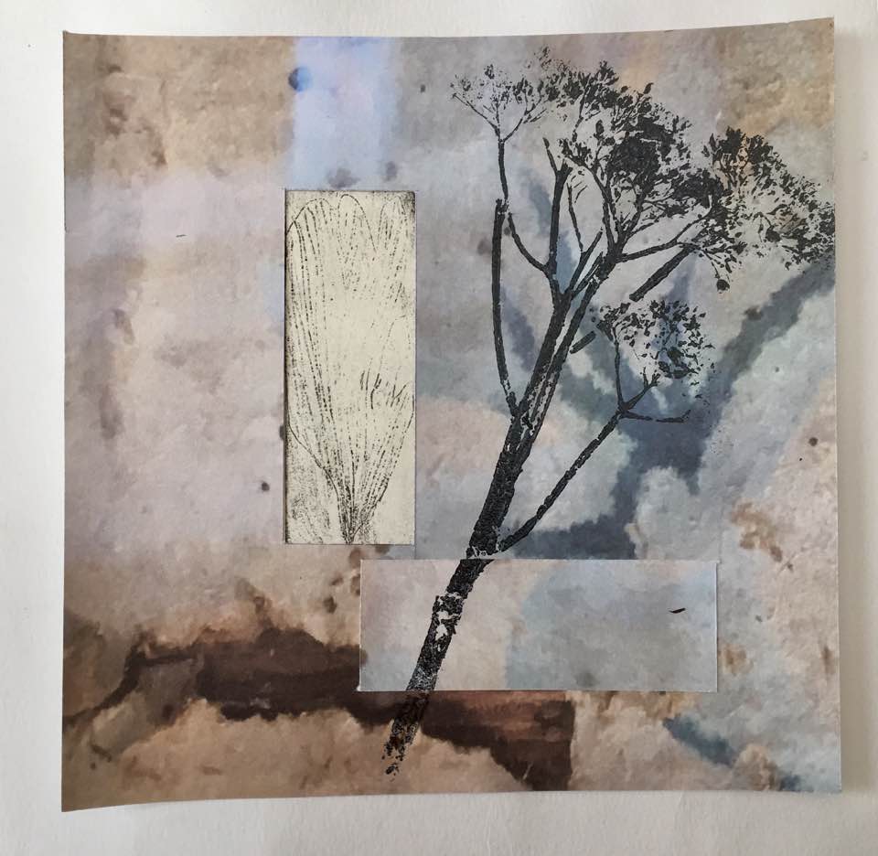 32244247_10216494645942953_3832556960700432384_n