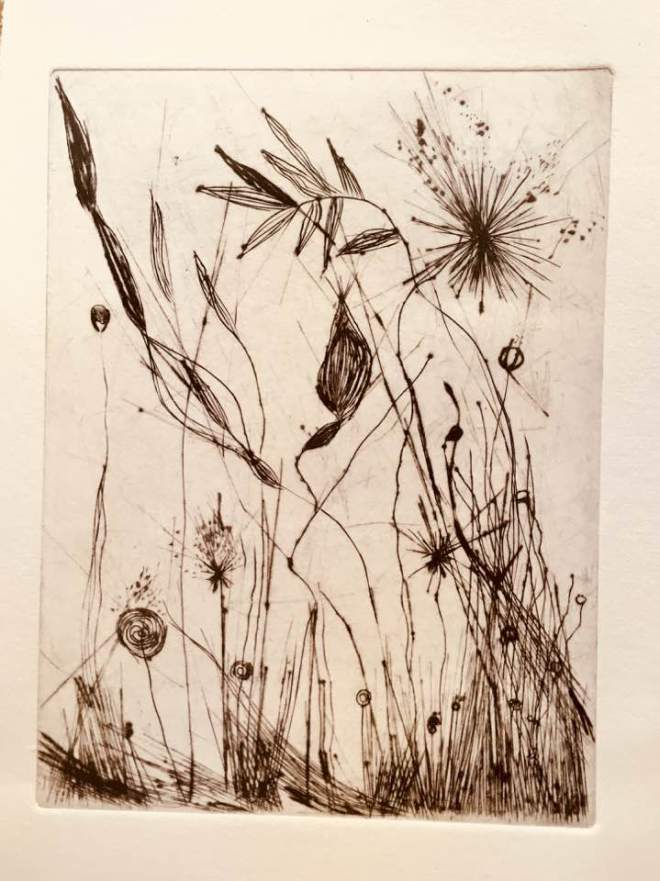 31946792_1007652552733223_1730908310330146816_n