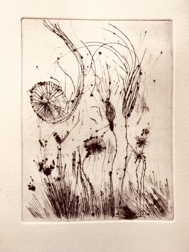 31948650_1007036842794794_6267954561726545920_n