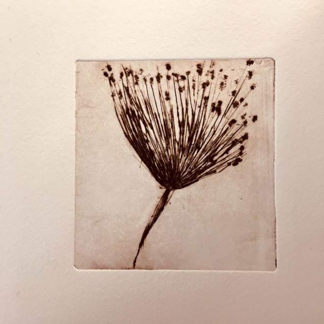 34160270_1022038864627925_8440241010205786112_n