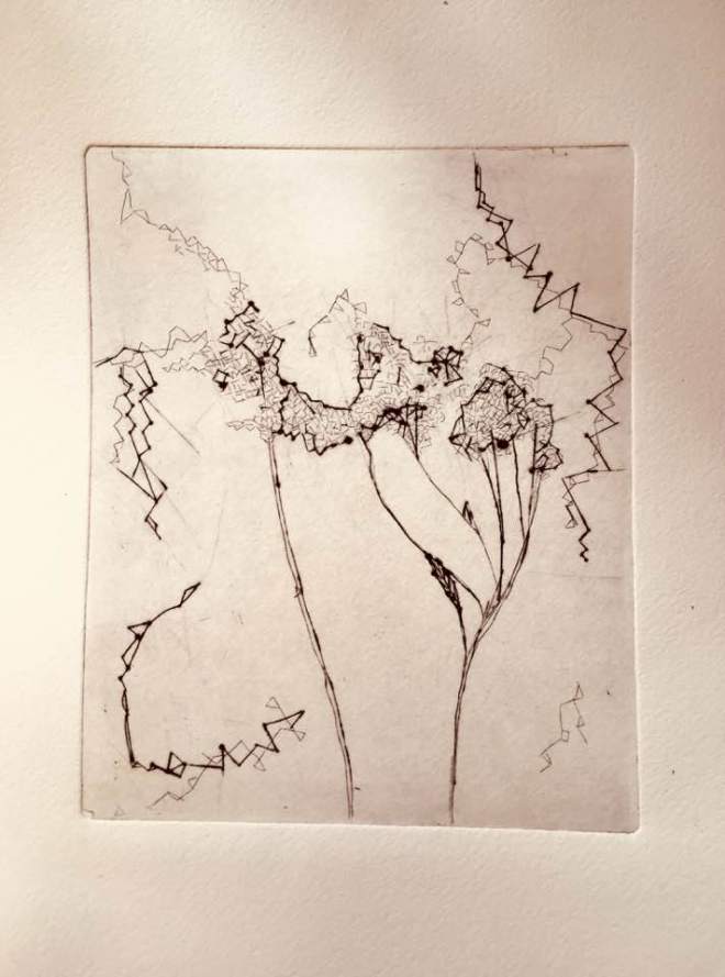 34823289_1026142584217553_2086852457970794496_n