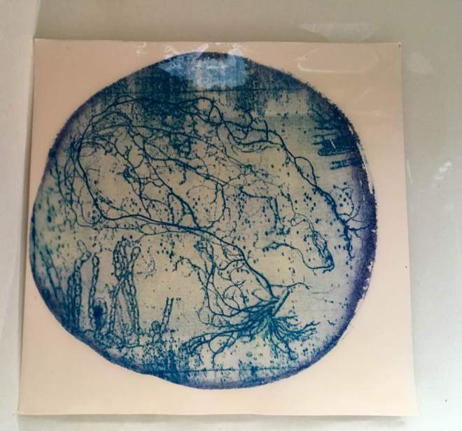 36274732_10216873152085370_7915457102544371712_n