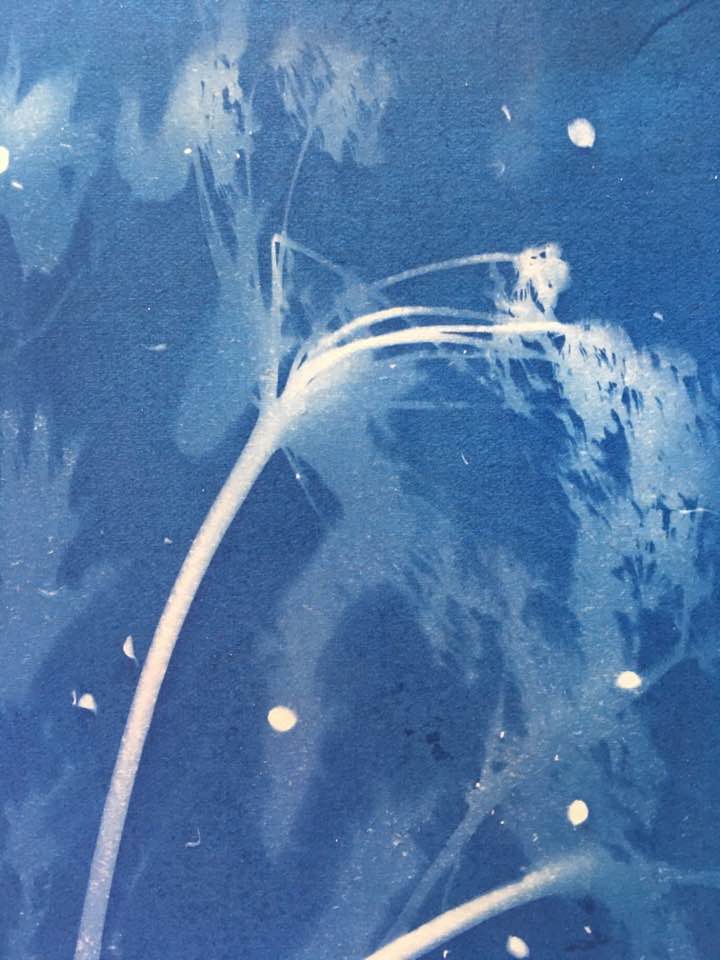 39887037_10217342805746418_322551240770715648_n