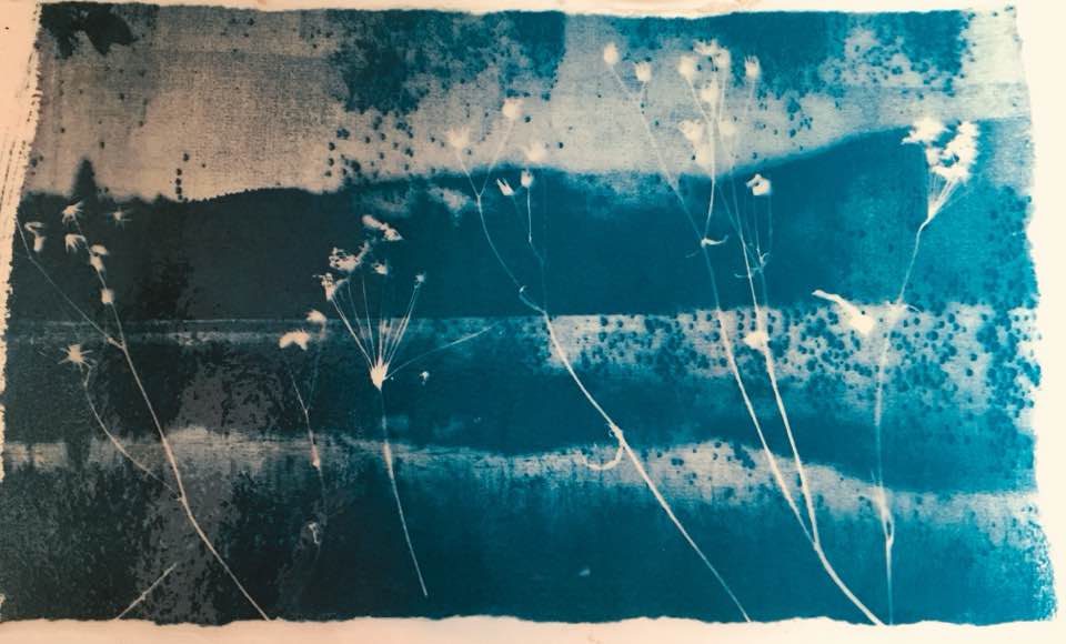 39905896_10217348351085048_5498647475730251776_n