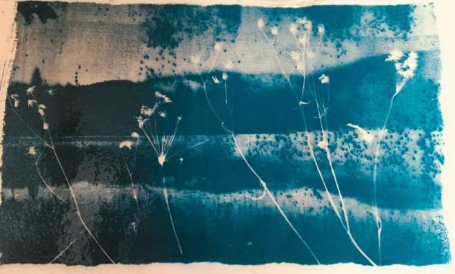 39905896_10217348351085048_5498647475730251776_n