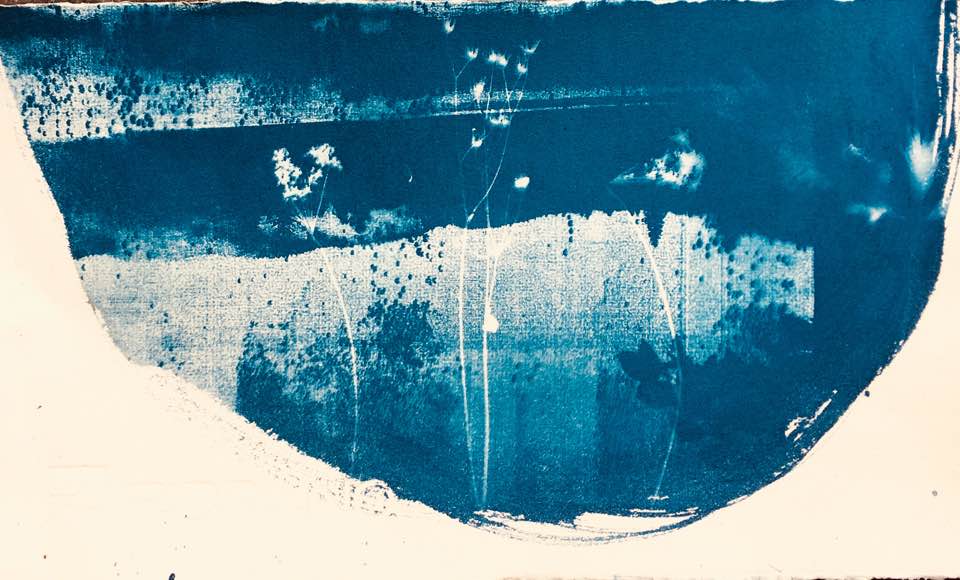 39911028_10217348351125049_1867277142635577344_n