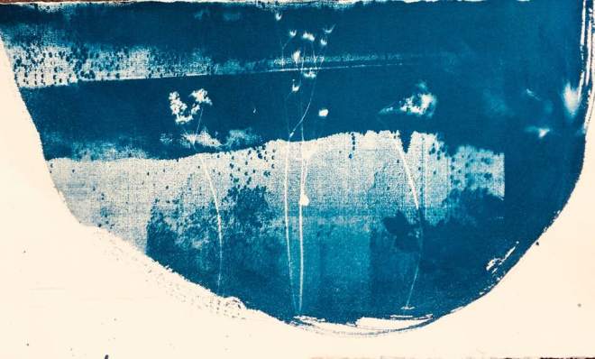 39911028_10217348351125049_1867277142635577344_n