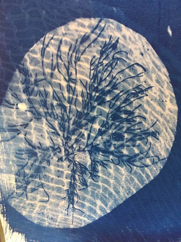 39927893_10217342805106402_7169916230965395456_n