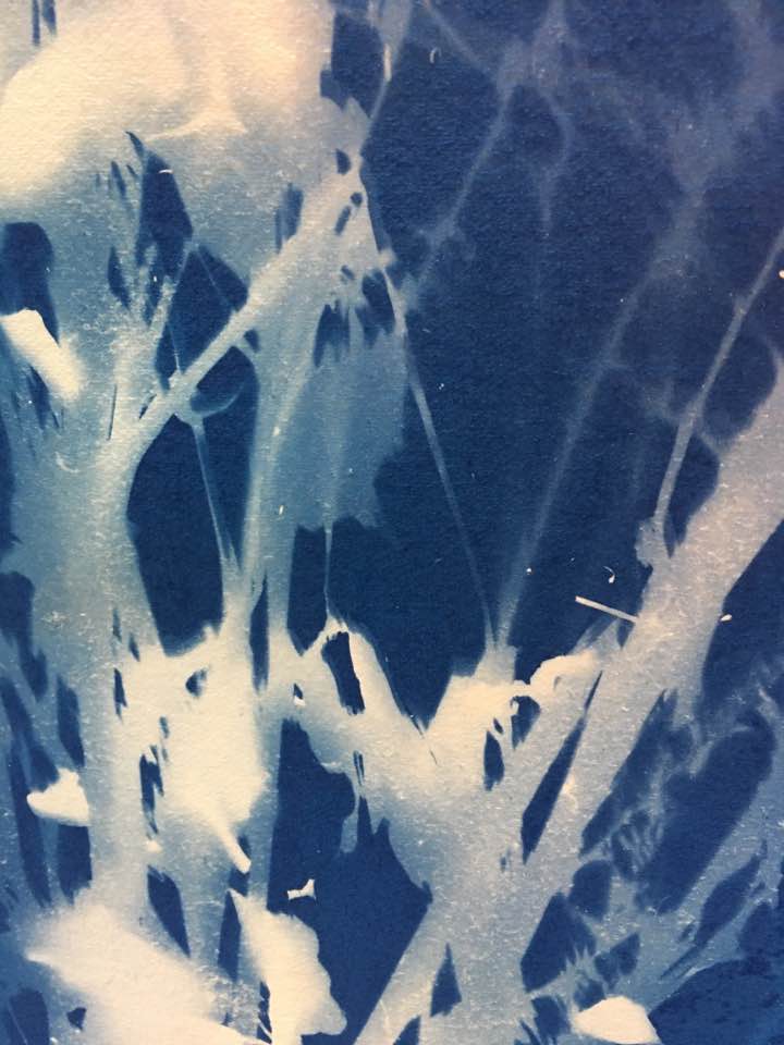 39928648_10217342806146428_6985563809280688128_n