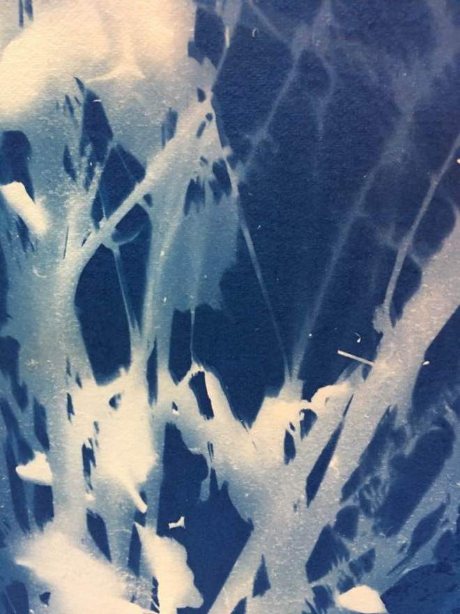 39928648_10217342806146428_6985563809280688128_n