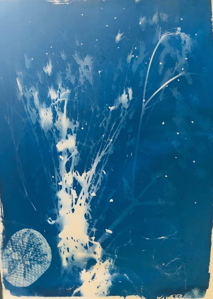 39933097_10217342805386409_4508617742605090816_n