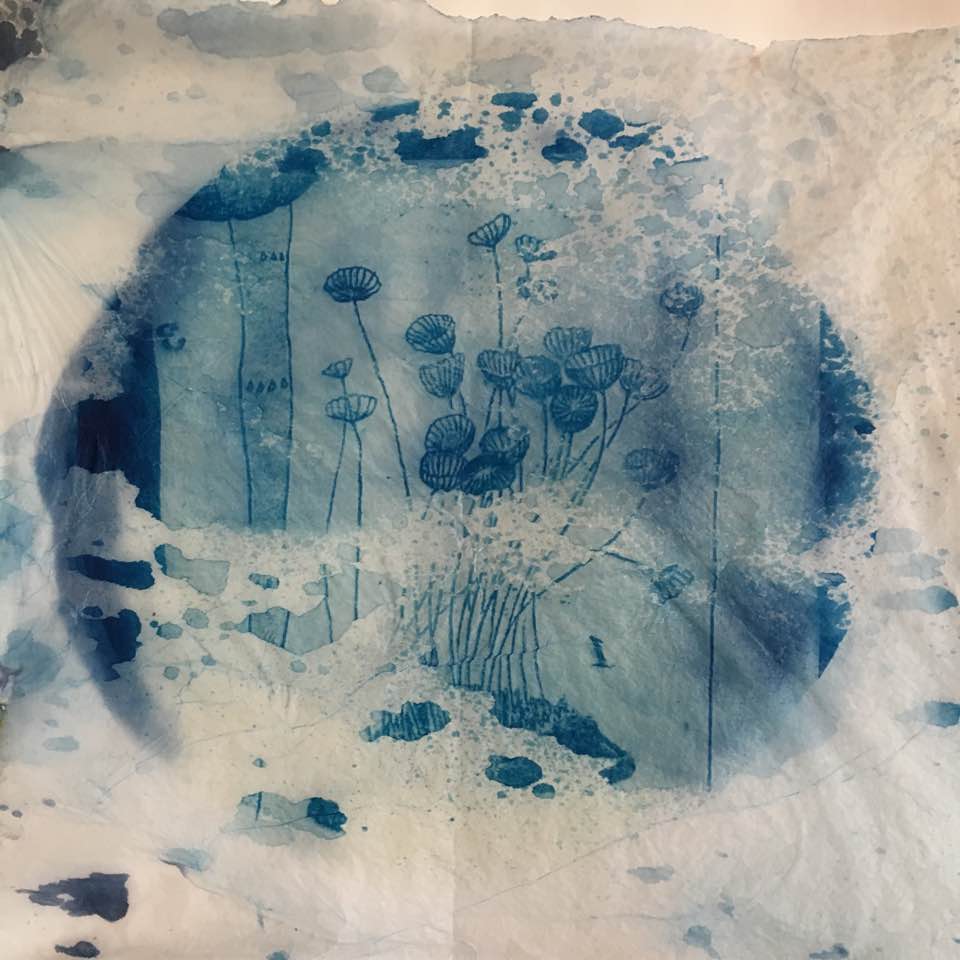 43552521_10217870731704237_8727803132395913216_n