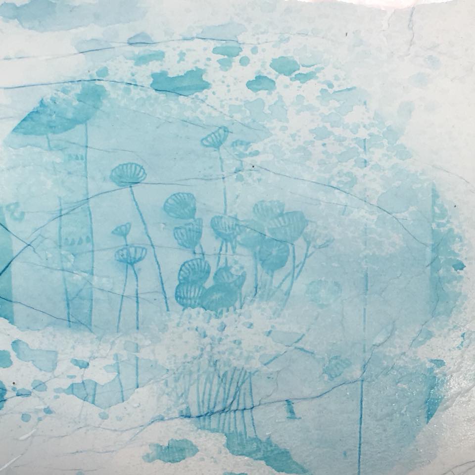 44536572_10217842664242568_4175925993854205952_n