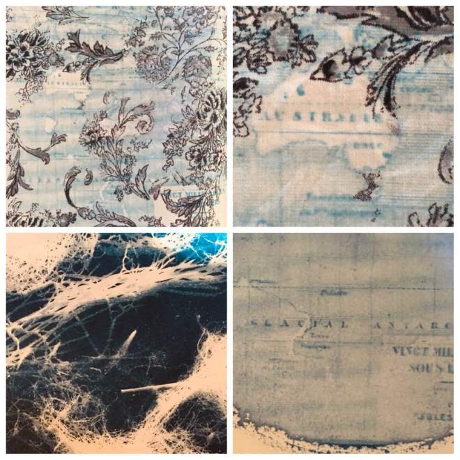 44664257_10217850234911830_1677316919591436288_n